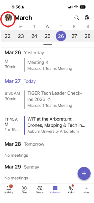 Microsoft Teams Voice profile picture icon