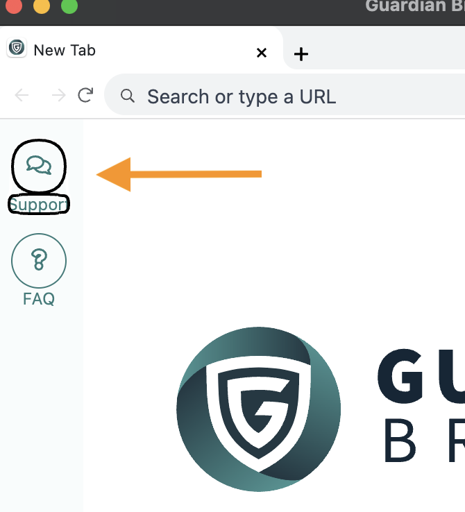 screenshot proctoru support chat in guardian browser