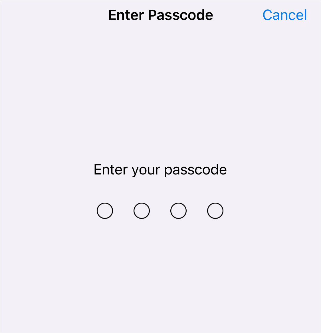 ios passcode