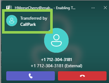 Teams Voice parked call