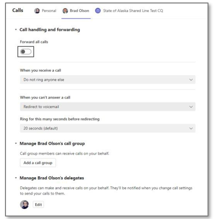 Teams Voice delegate settings