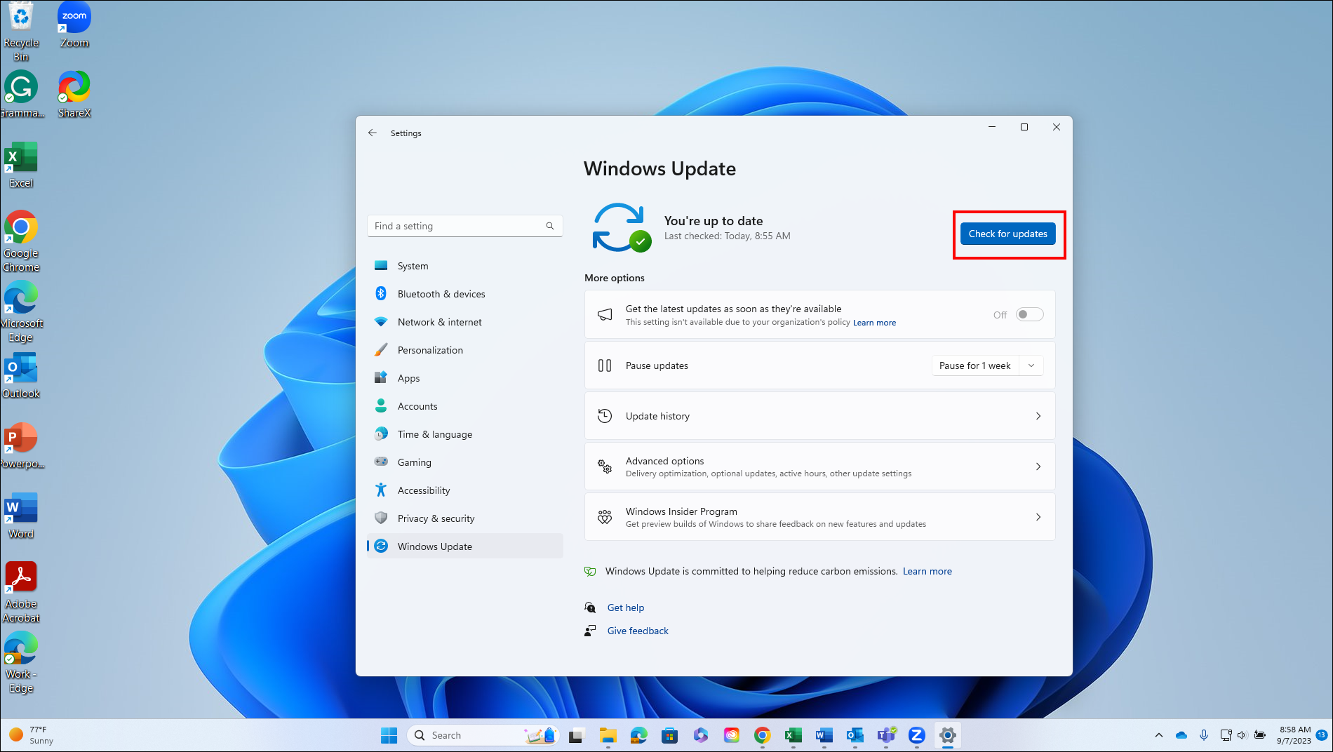 windows check for updates