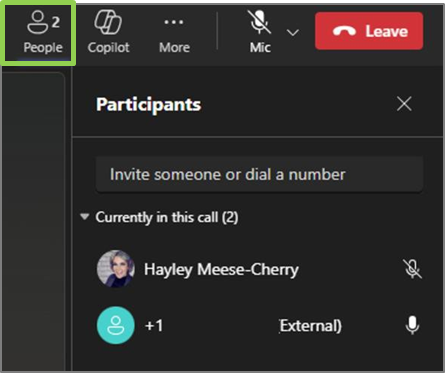 Teams Voice multi-party call screen