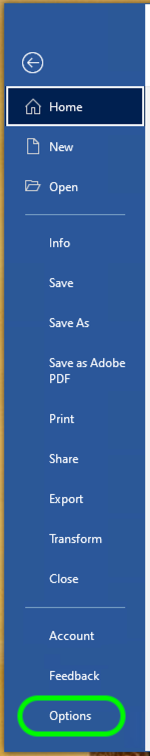 word options