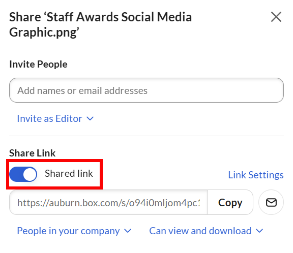 Box shared link option