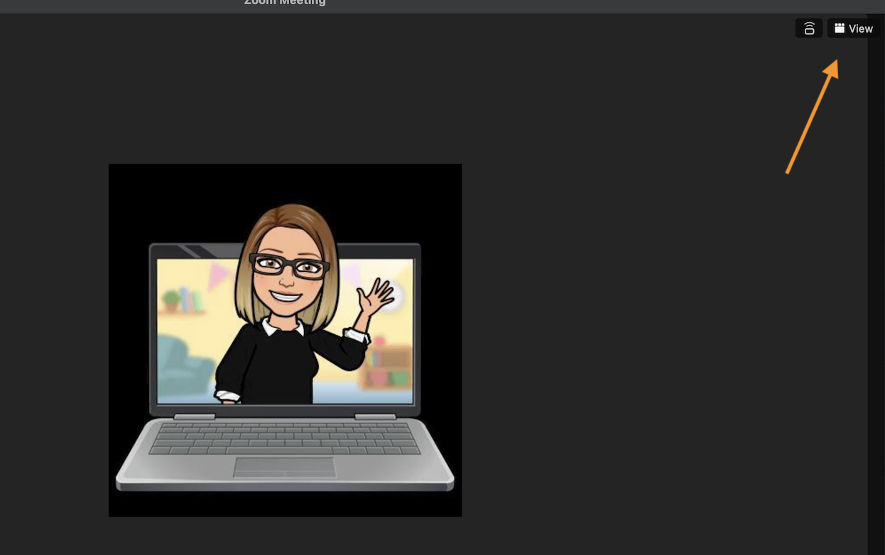 screenshot, zoom meeting interface with view in the top right corner highlighted