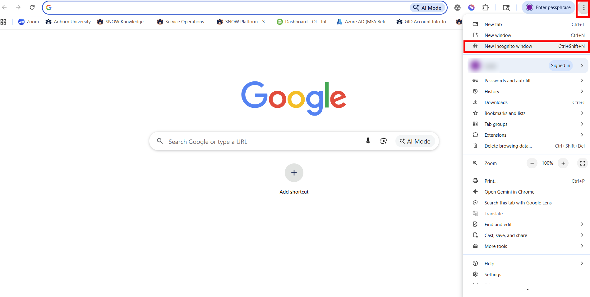 Google Chrome Incognito Browser