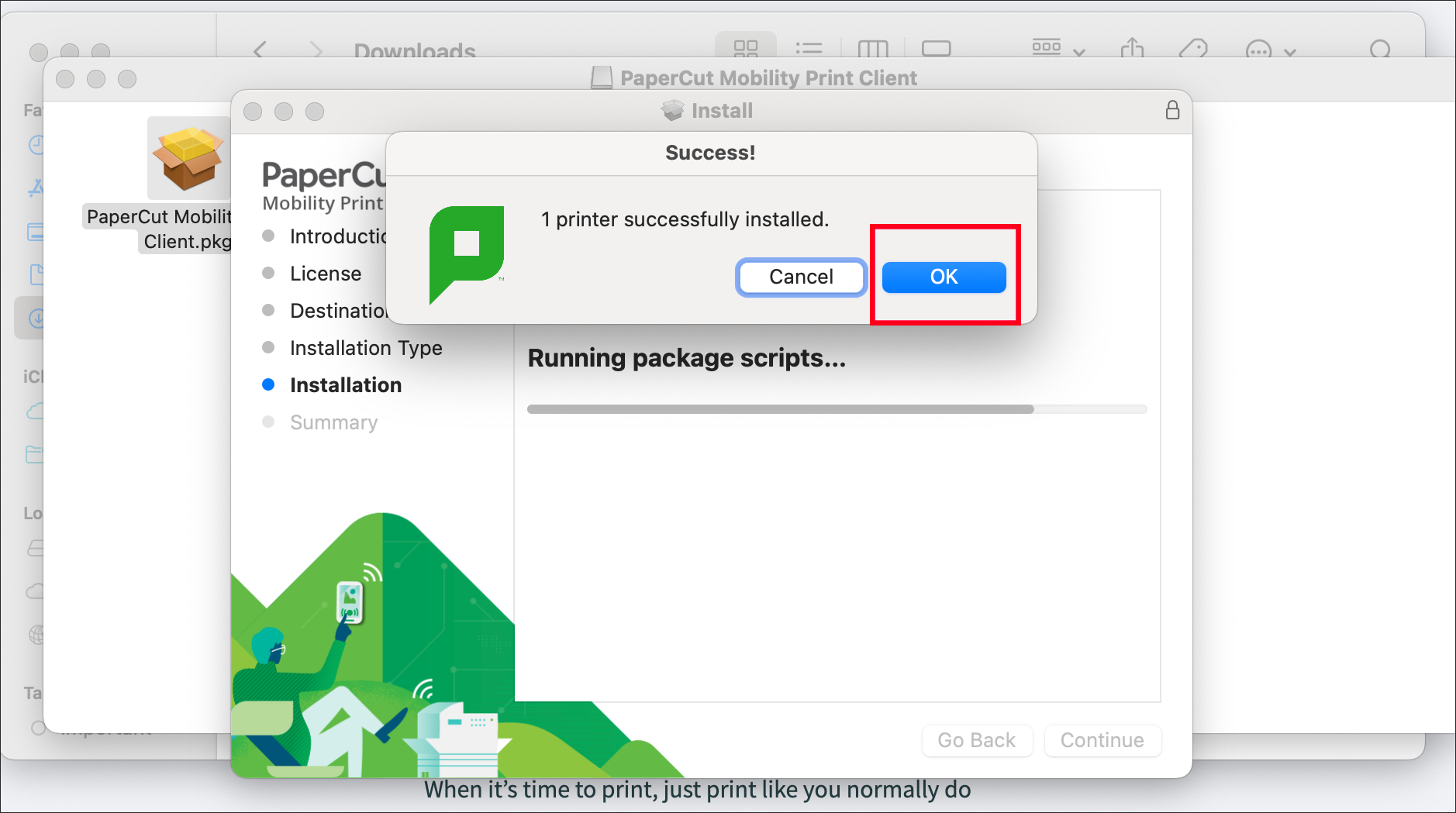Printer successfully installed