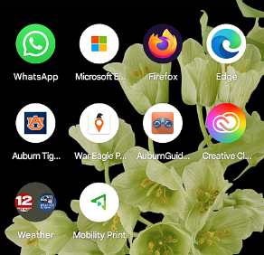 view of home screen