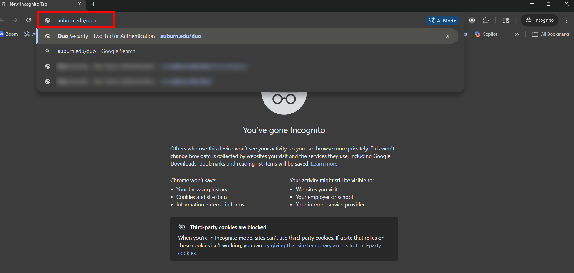 Google Chrome Incognito Browser Window