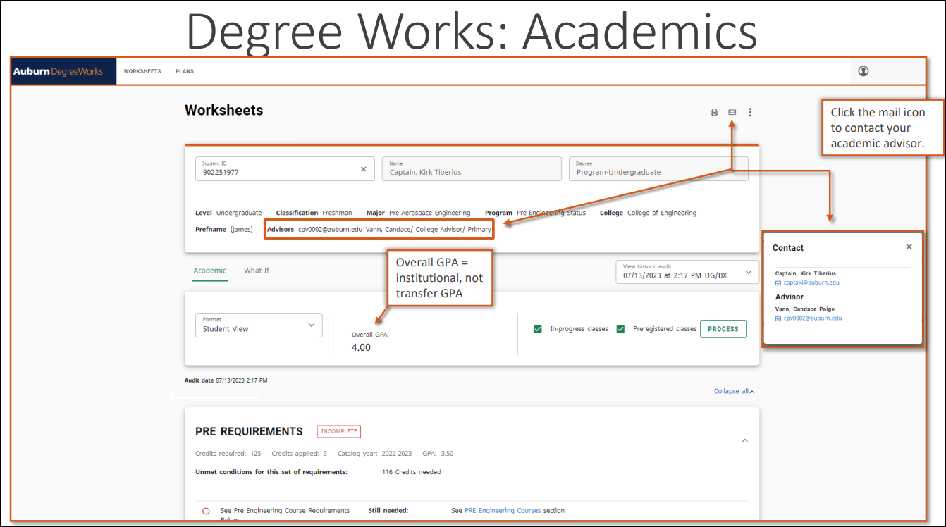 DegreeWorks worksheet view