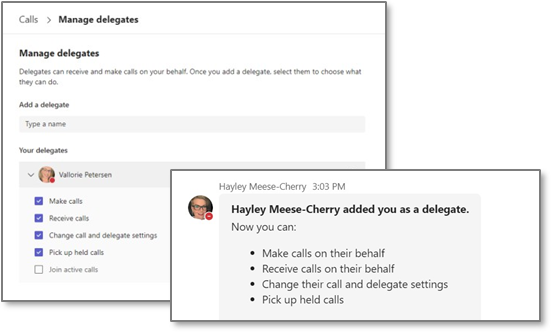 Teams Voice added delegate
