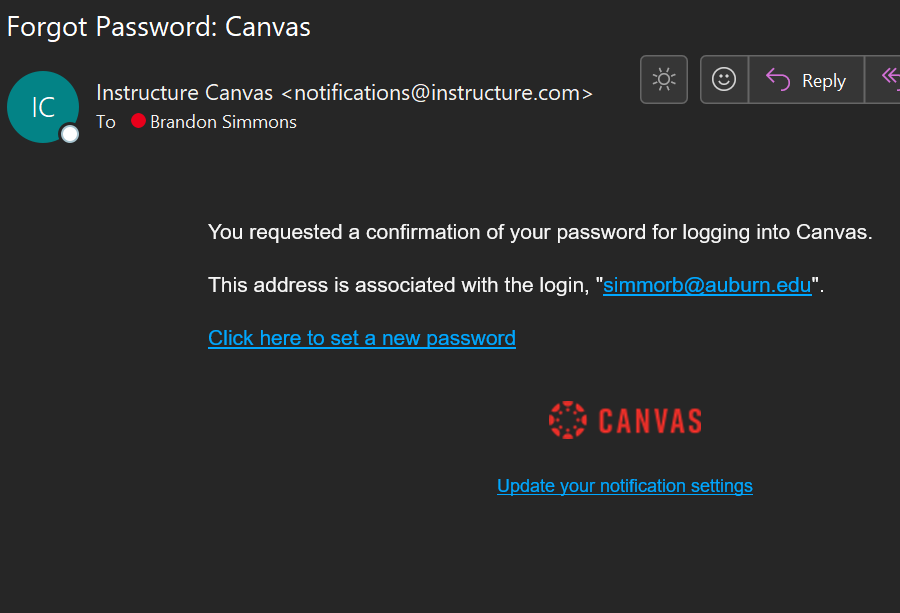 Example of Canvas Reset Password Email
