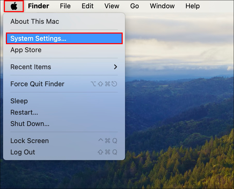 Mac system settings screen