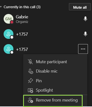 Teams Voice People menu remove from meeting option