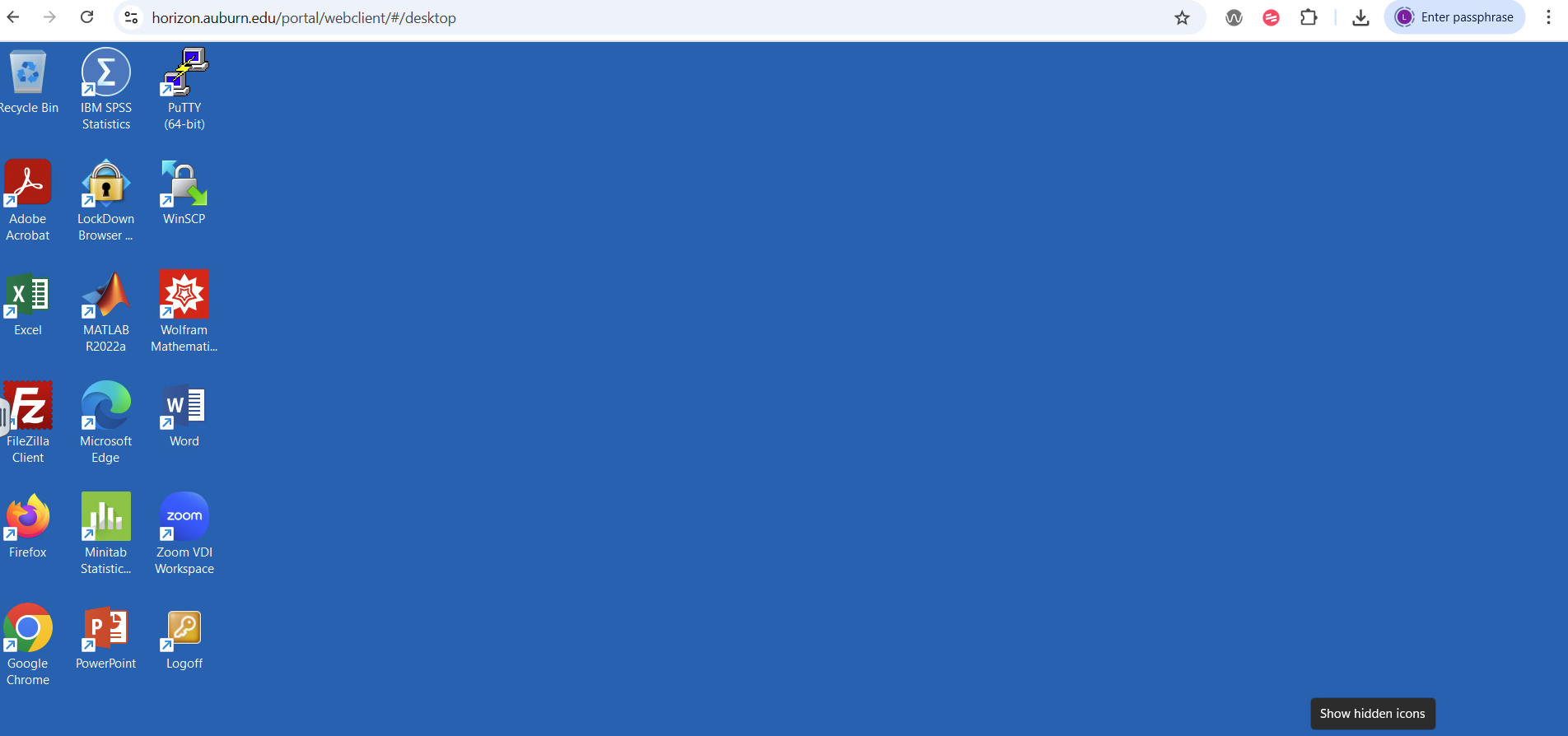 Horizon virtual desktop from web browser