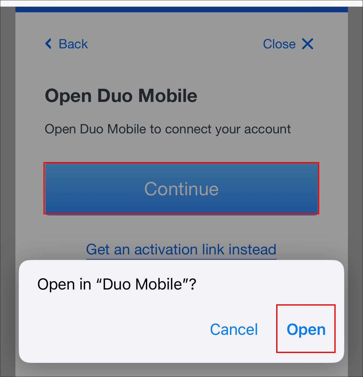 Duo Mobile open in app screen