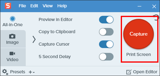 Snagit capture screenshot selection